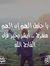 Noga El...
