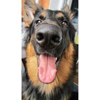 Борис Коржилов