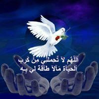 دينا أم عمر