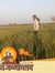 Keshav ...