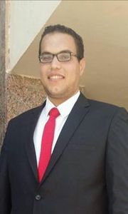 Mohamed Wageh