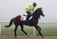 Miss Claire R M Ricks