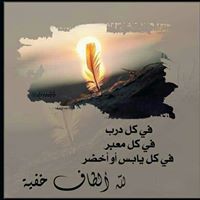 صفية المنسي