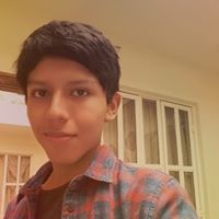 Luis Flores