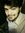 Shahroz...