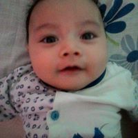 Mohd Hamdi