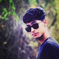 Parth Shringarpure