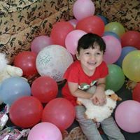 احمد عبد الشكور