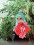 NoOr H....