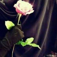 ايماني سر صموودي