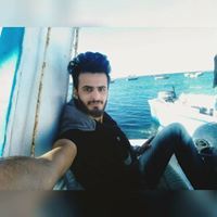 حسام العربي