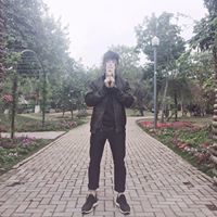 Việt Anh