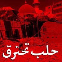 علاء الصباغ