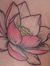 Le Phuong