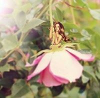 সুরেলা সুর