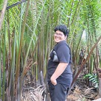 Apisit Samosorn