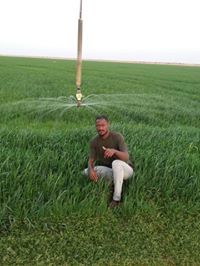 معاويه غندور