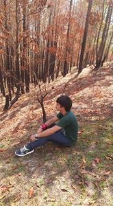 mahesh kaji