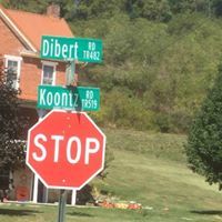 Donna Schaefer Dibert