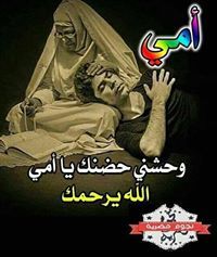 محمود أبو فرحة