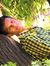 Rahul K...