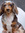 Sami | 5 comments