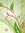 Cas | 3 comments
