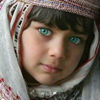 واحة اللغة والأدب