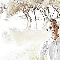 مصطفى عثمان