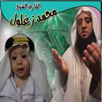 الشيخ محمد زغلول