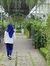 Sauda S...