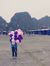 Nấm Rơm