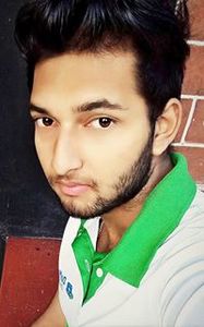 Palash Anjun Majumder