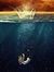 ALaa Sh...