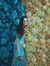 Rana Emad