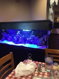 Davant Dodson-Rosenberg