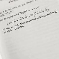 محمد المساعيد