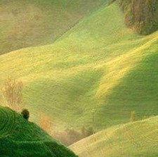 أحمد بن موسى