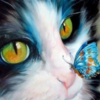 Cathy Morgan