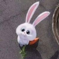 اسمى ابوالشيخ