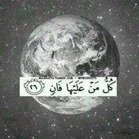 مجدي الخشاشنة