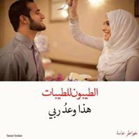 محمد الطواب