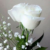 سوزان خروبه