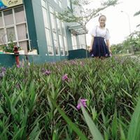 Hà Anh