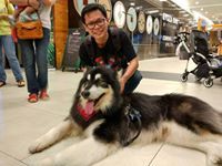 Aditya Loe