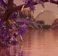 محمدذياب شرهان