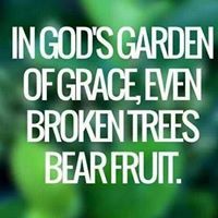 Mlambo Joshua S'Fiso