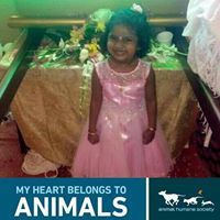 Micheal Constantine Chikky