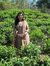 Shweta ...