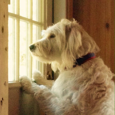 Ananya Agastheeswaran 